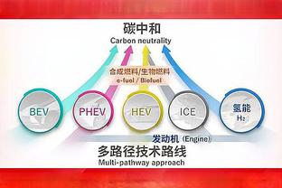 蒂格打趣：字母哥哥就是助教 我都不上场他还单独跟我讲战术